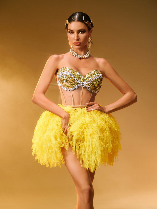 Dakan Strapless Corset Tulle Skirt Set